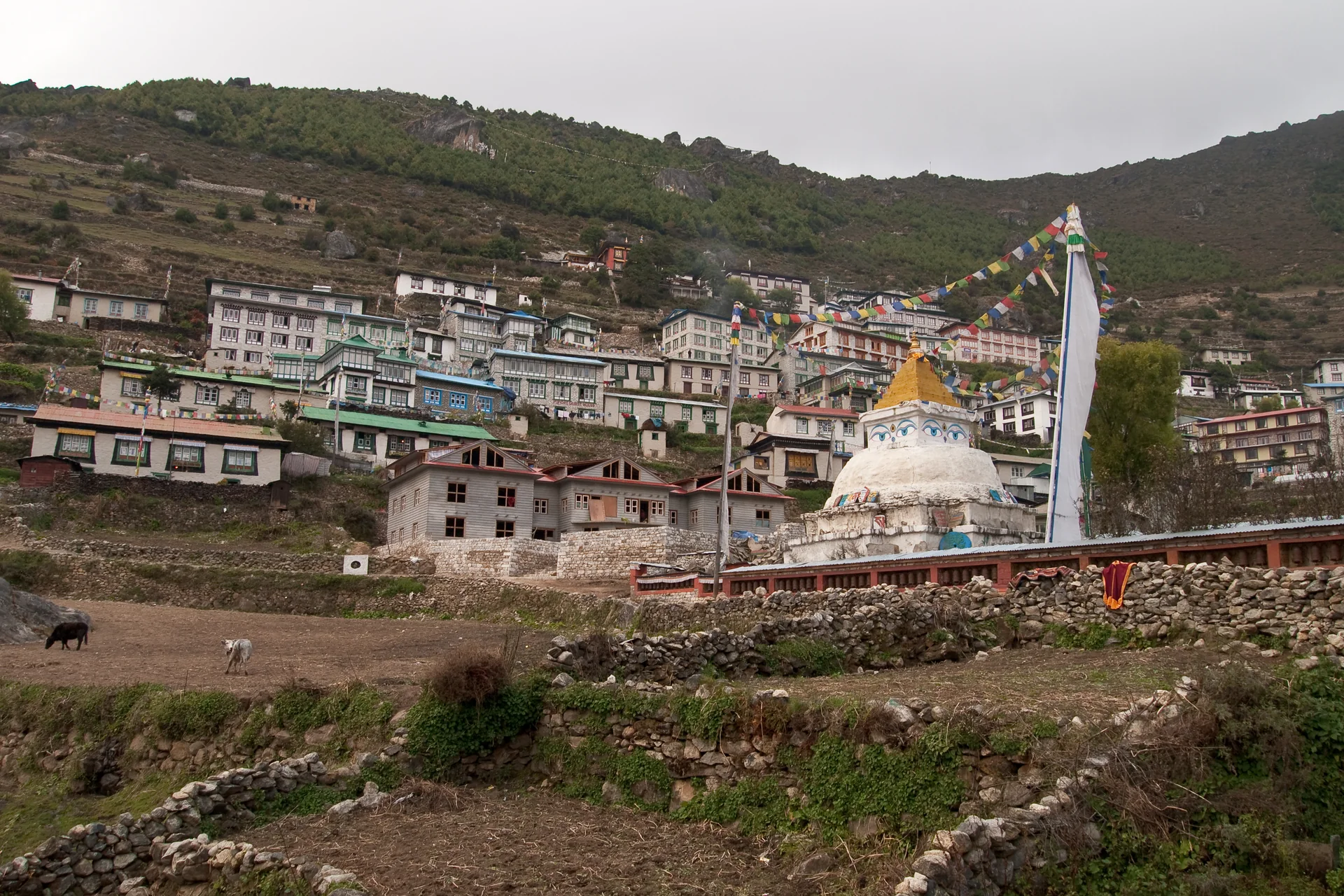 Buildings and a chorten in Namche Bazaar